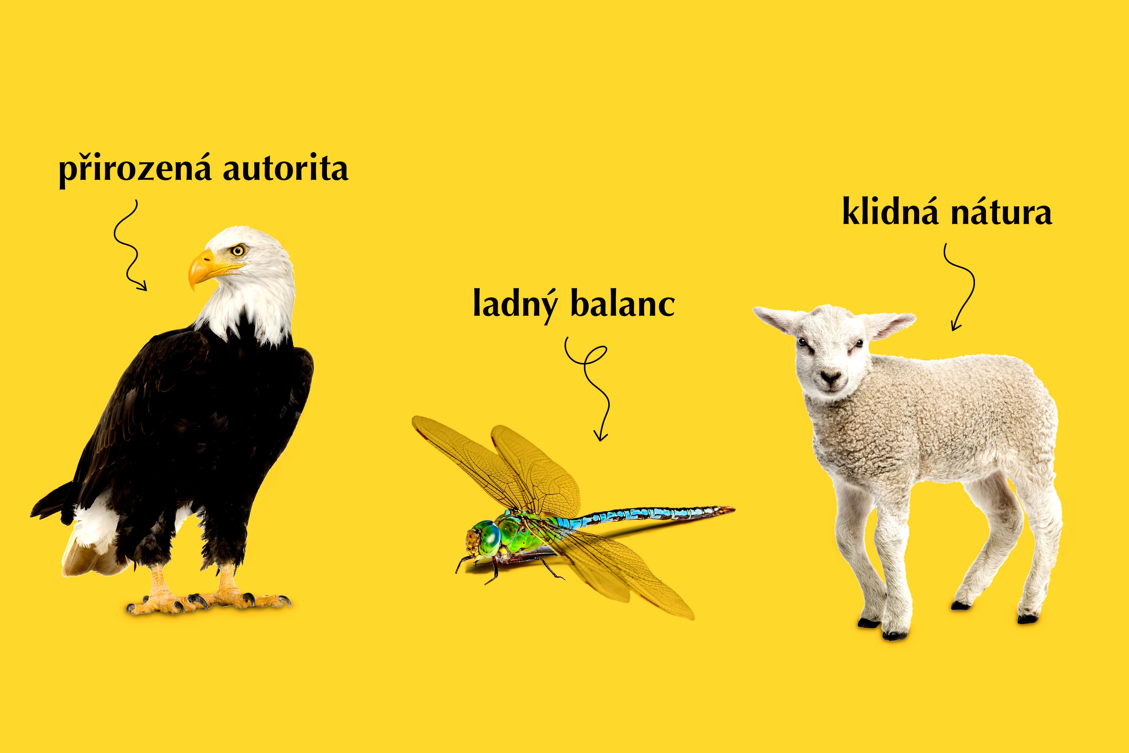 Znamení kandidátů