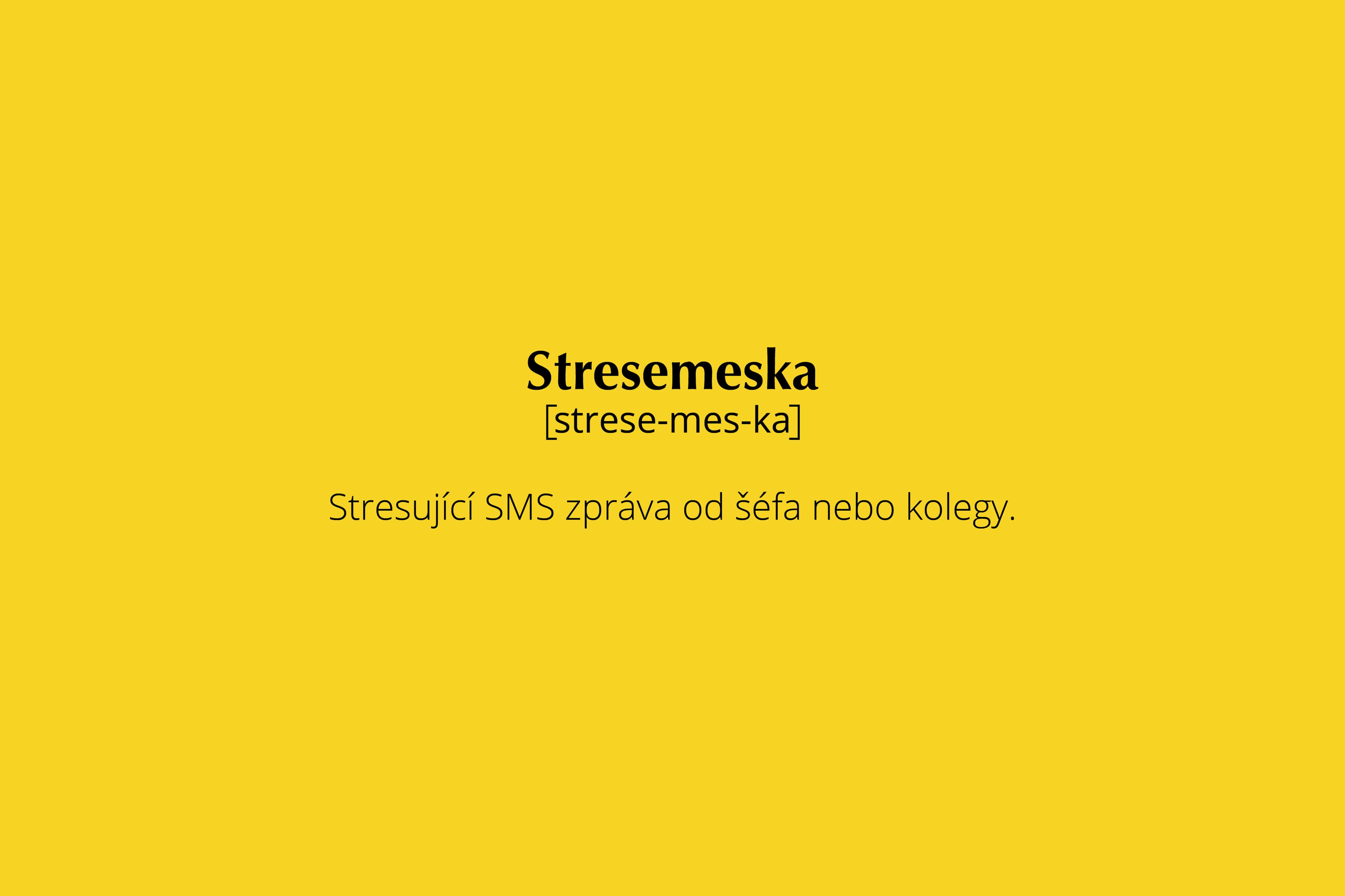 Čeština 2.0 v HR